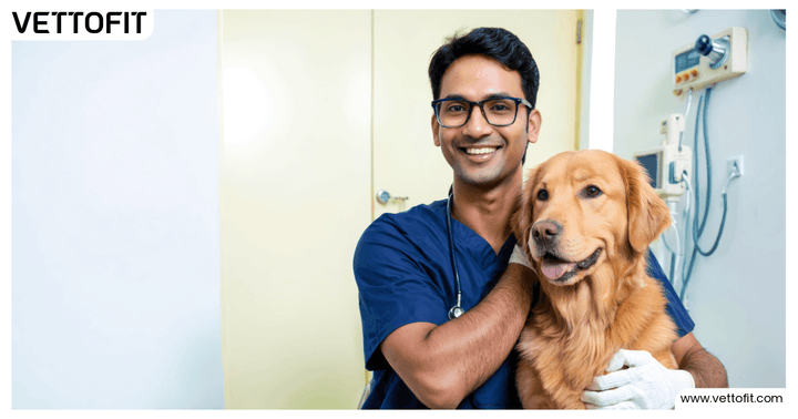 Dog getting annual vet check-up with Vettofit wellness support in India