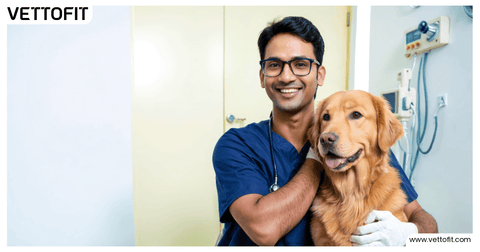 Dog getting annual vet check-up with Vettofit wellness support in India