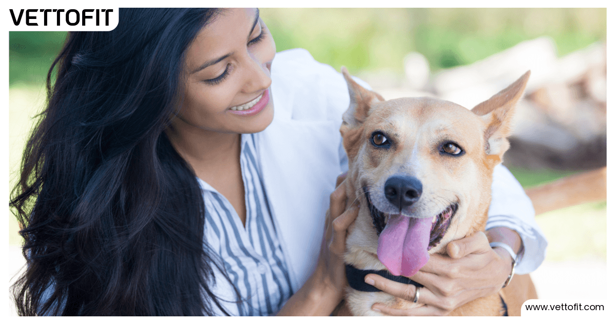 Smiling Indian pet parent bonding with a happy Indie dog, showcasing healthy coat care supported by Vettofit’s expert skin and nutrition solutions.