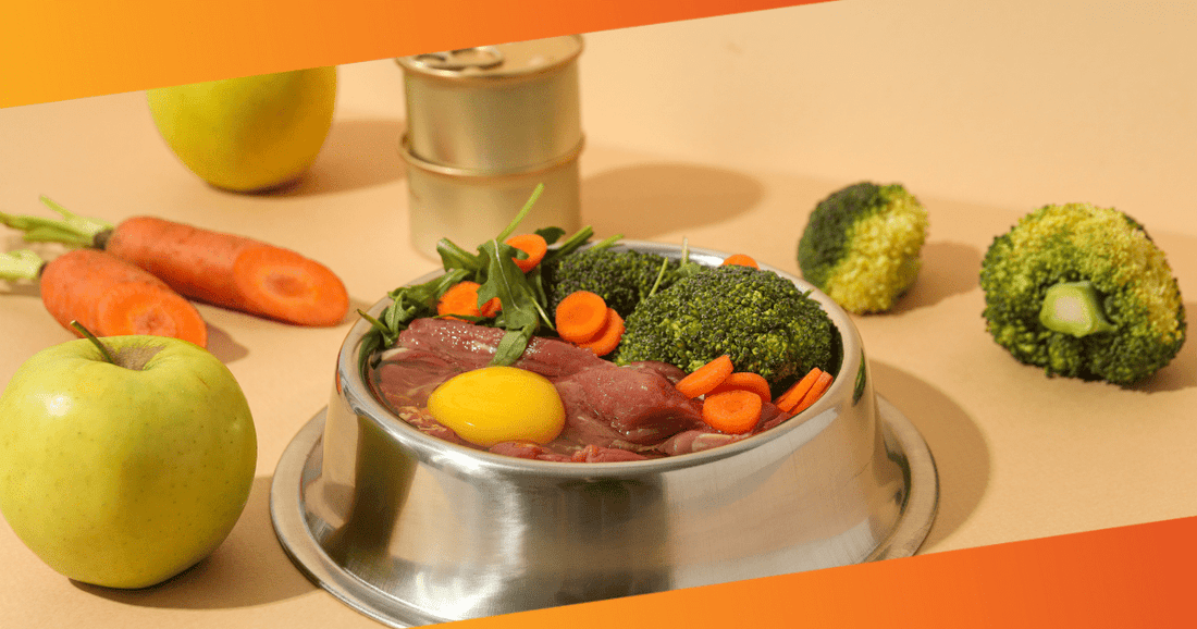Importance of Proper Diet for Pets