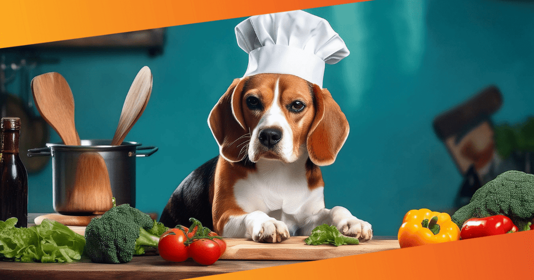 Why Homemade Dog Food Might Be the Best Option for Your Pup