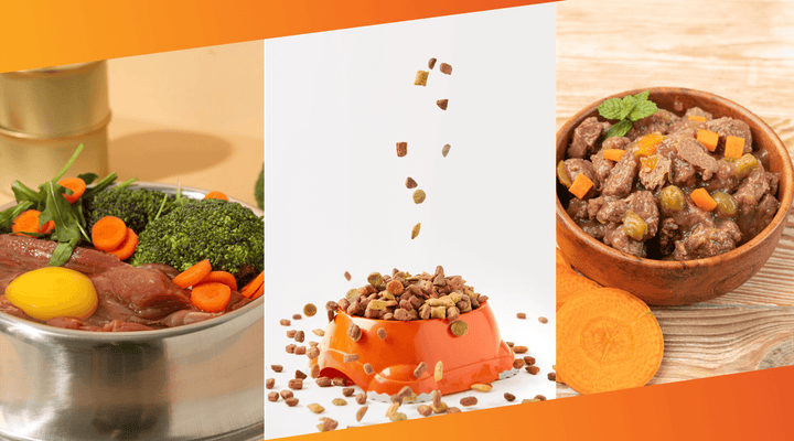 Choosing the Right Dog Food: Dry vs. Wet vs. Fresh - VETTOFIT