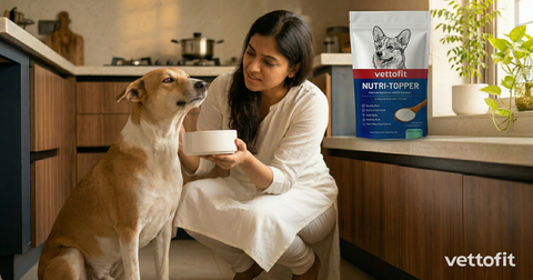 Indian woman in white kurta offering a food bowl to a picky Indie dog in a modern kitchen, with Vettofit Nutri-Topper pack — dog picky eater solution India
