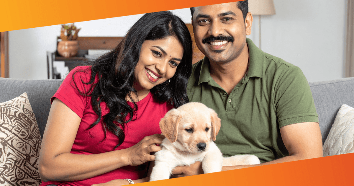 Pet parent sitting with a new puppy at home during the first week