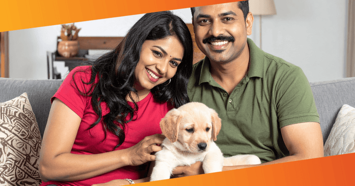 Pet parent sitting with a new puppy at home during the first week