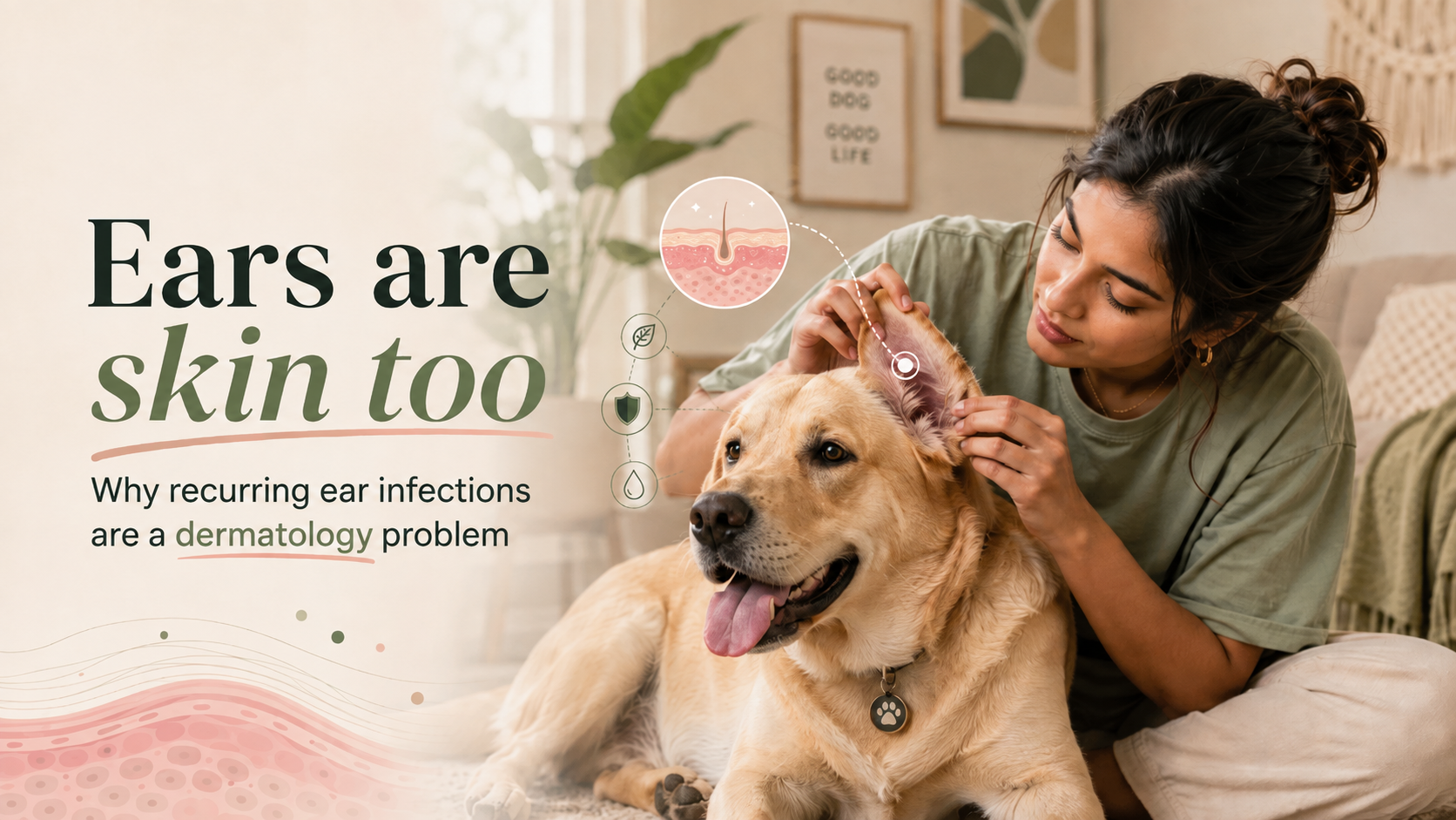 Ears are skin too: why recurring ear infections are a dermatology problem