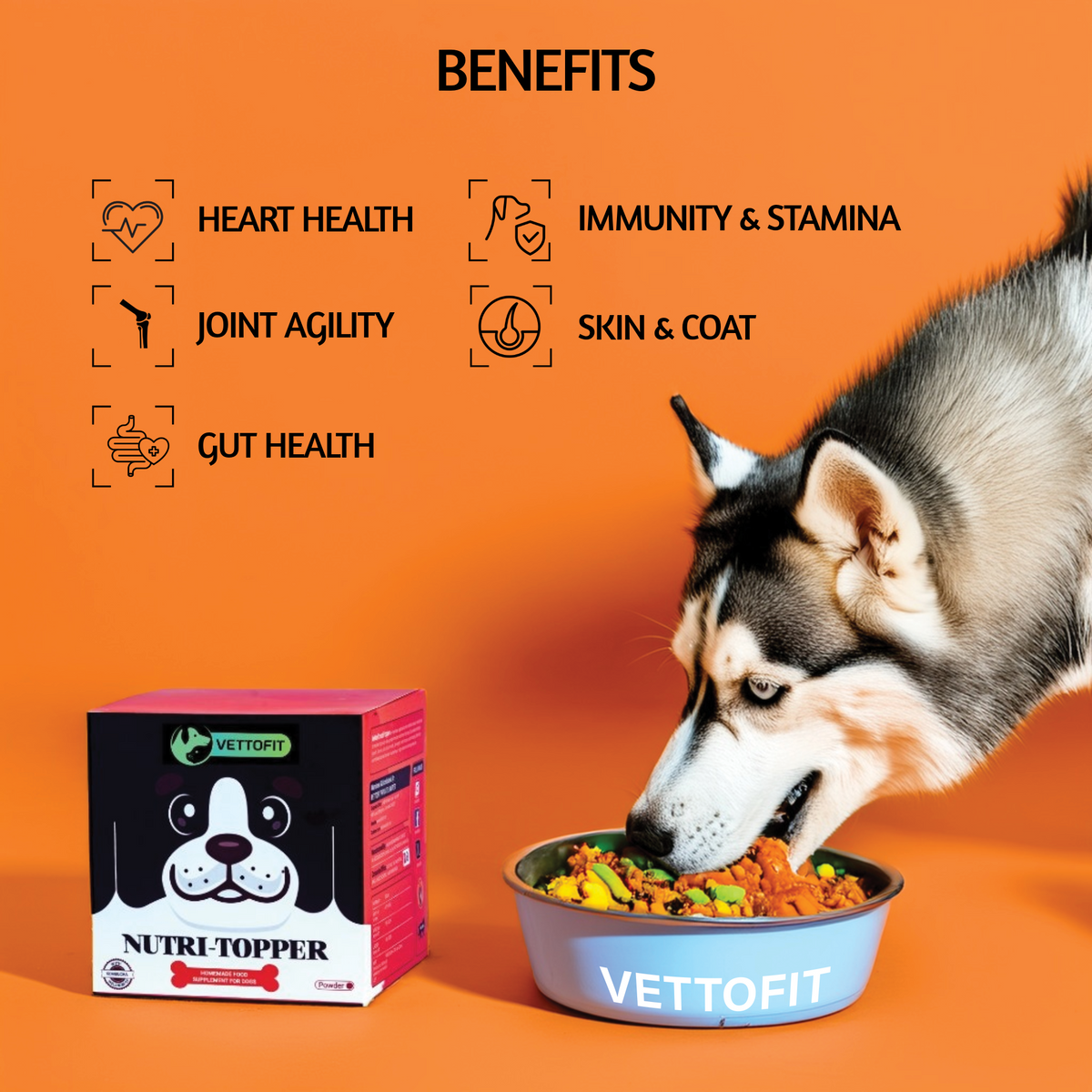 Vettofit Nutri Topper – Complete Dog Wellness Food Topper | Boosts Gut, Coat, Immunity & Joint Health - VETTOFIT