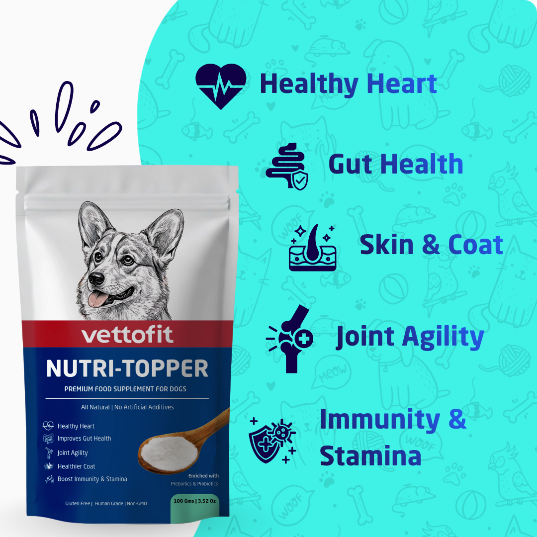 Vettofit Nutri-Topper Pack of 2 (100 g x 2) | Daily Nutrition Topper for Dogs | Helps Picky Eaters Eat Better | Skin & Coat, Gut, Joint, Heart & Immunity Support