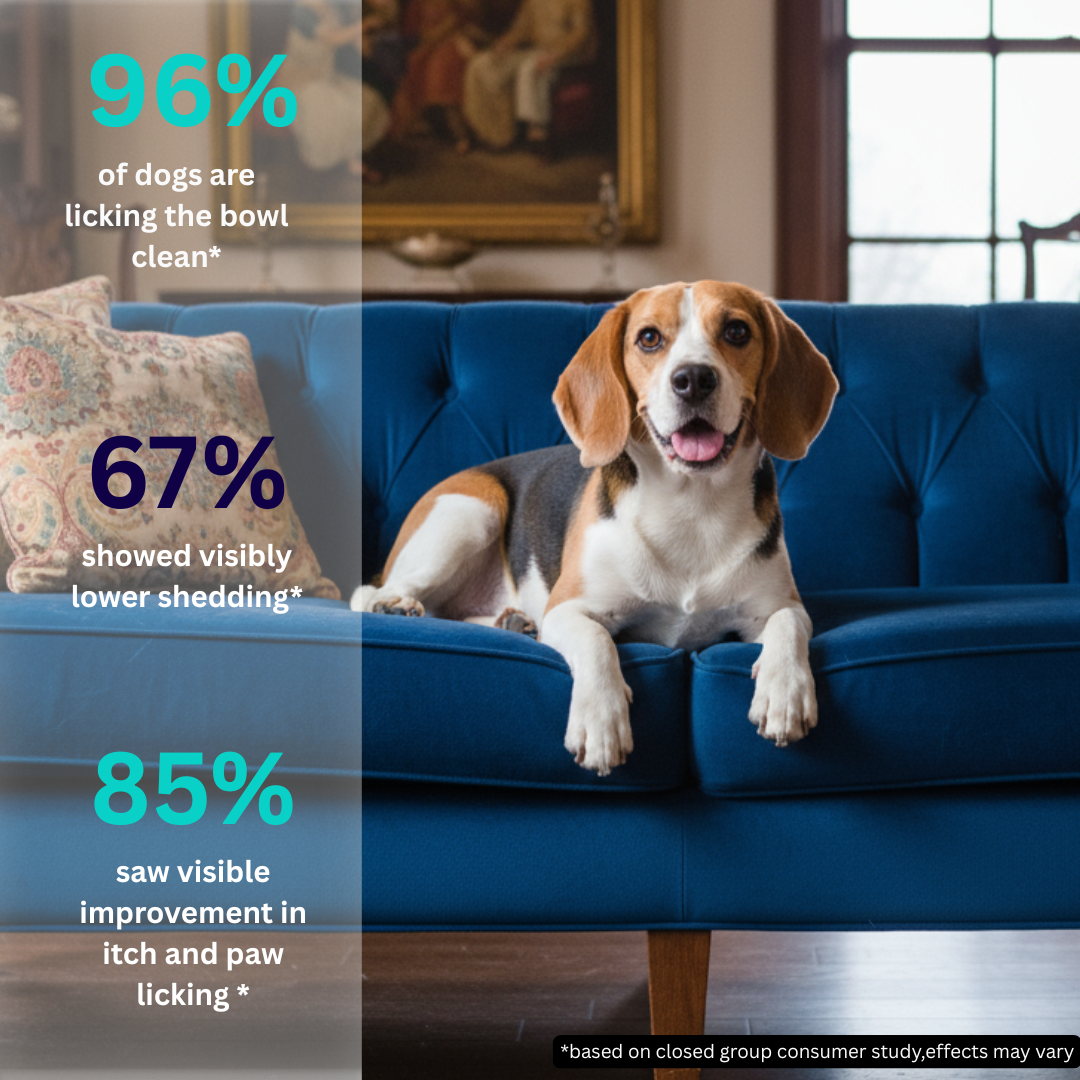 Vettofit Nutri-Topper Pack of 2 (100 g x 2) | Daily Nutrition Topper for Dogs | Helps Picky Eaters Eat Better | Skin & Coat, Gut, Joint, Heart & Immunity Support