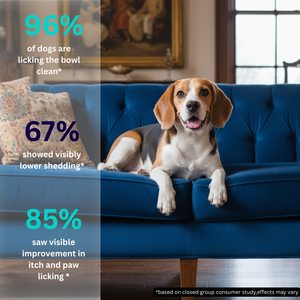 Vettofit Nutri-Topper | Daily Nutrition Topper for Dogs | Helps Picky Eaters Finish Meals | Supports Skin & Coat, Gut Health, Joints, Heart & Immunity | 100 g