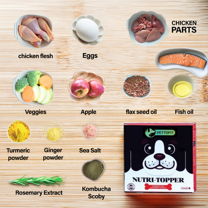 Vettofit Nutri-topper for homemade food for dogs | Everyday Balanced Nutrition for Dogs - VETTOFIT
