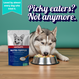 Vettofit Nutri-Topper | Daily Nutrition Topper for Dogs | Helps Picky Eaters Finish Meals | Supports Skin & Coat, Gut Health, Joints, Heart & Immunity | 100 g