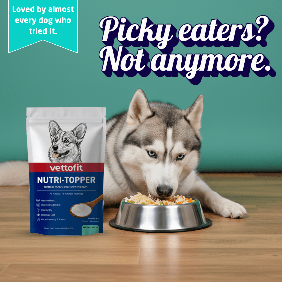 Vettofit Nutri-Topper Pack of 2 (100 g x 2) | Daily Nutrition Topper for Dogs | Helps Picky Eaters Eat Better | Skin & Coat, Gut, Joint, Heart & Immunity Support - VETTOFIT