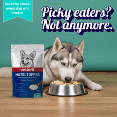 Vettofit Nutri-Topper Pack of 2 (100 g x 2) | Daily Nutrition Topper for Dogs | Helps Picky Eaters Eat Better | Skin & Coat, Gut, Joint, Heart & Immunity Support - VETTOFIT