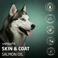 Before and after coat results using Vettofit Salmon Oil for dogs – reduces shedding and dryness, India