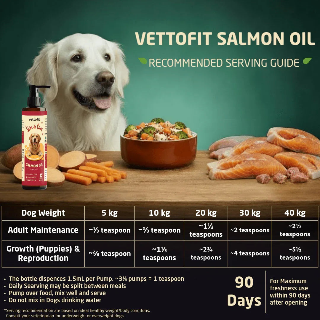 Vettofit Salmon Oil benefits for dogs – supports shiny coat, healthy skin, joint mobility and immunity in India