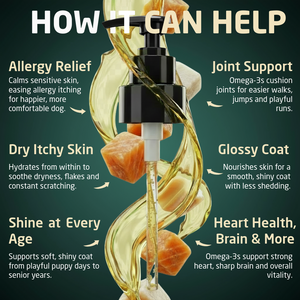 Vettofit Wild-Caught Alaskan Salmon Oil for Dogs | Skin & Coat - 200 ml