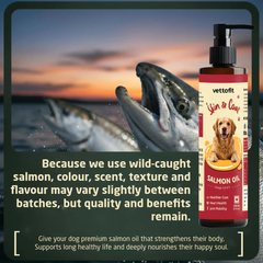 Dog eating food with Vettofit Alaskan Salmon Oil drizzled on top – daily omega 3 fish oil supplement for dogs