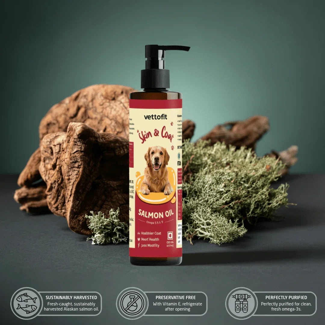 Vettofit Wild-Caught Salmon Oil for dogs – GMP certified, BPA-free, gluten-free, Vitamin E enriched, Made in India