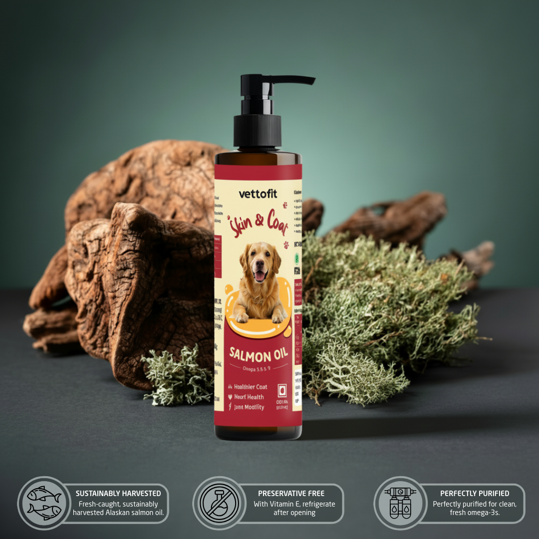 Vettofit Wild-Caught Alaskan Salmon Oil for Dogs | Skin & Coat - 200 ml