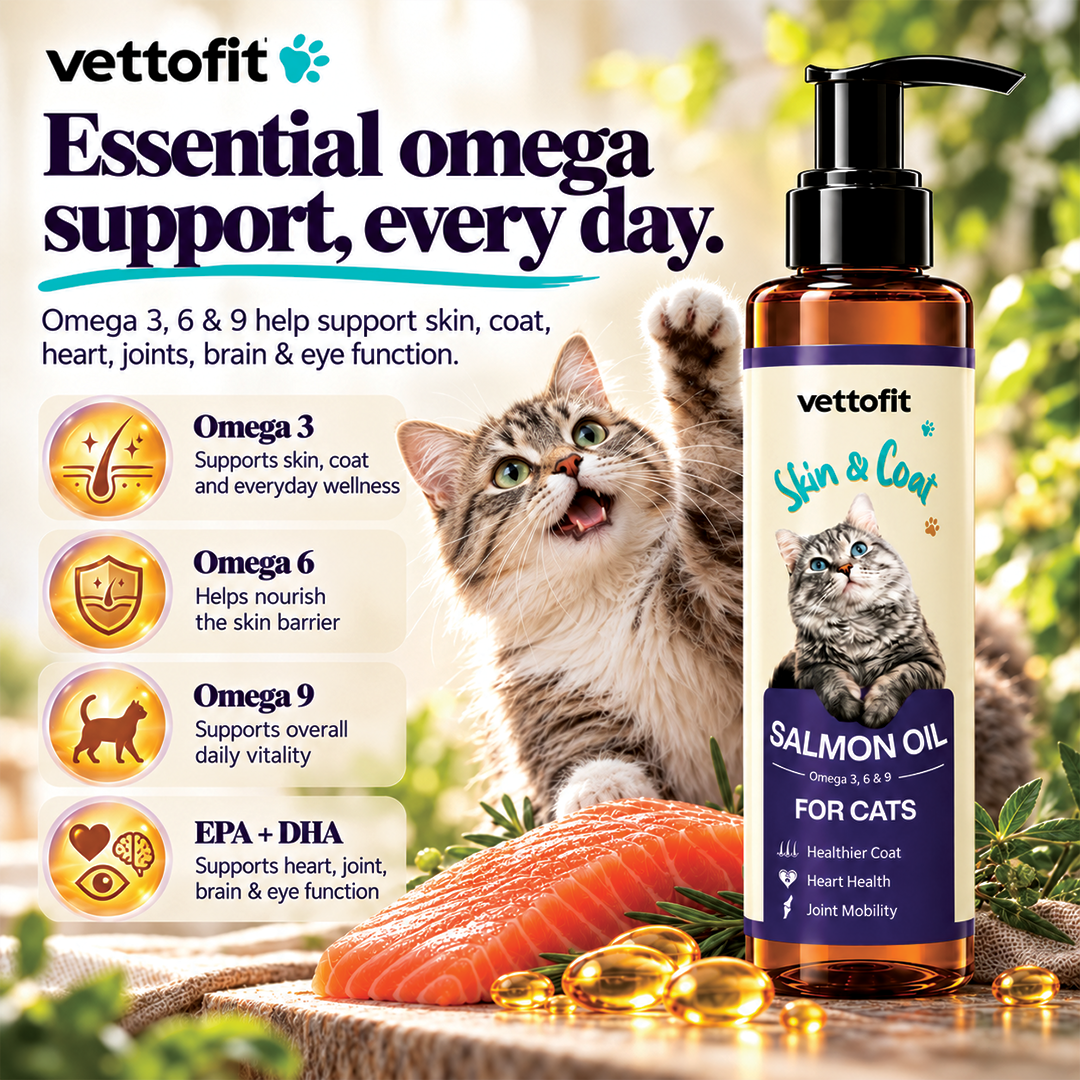 Vettofit Wild-Caught Alaskan Salmon Oil for Cats | Omega 3, 6 & 9 with EPA, DHA | Reduces Hair Fall & Shedding | Healthy Skin and Coat Supplement | Heart, Joint Support | 200 ml