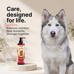 Vettofit Wild-Caught Alaskan Salmon Oil for Dogs | Skin & Coat - 200ml - VETTOFIT