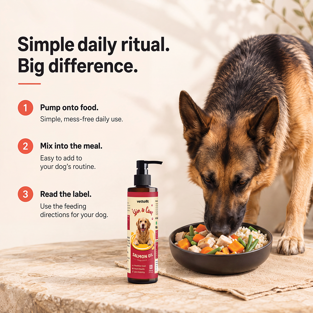 Vettofit Wild-Caught Alaskan Salmon Oil for Dogs | Skin & Coat - 200ml - VETTOFIT