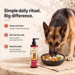 Vettofit Wild-Caught Alaskan Salmon Oil for Dogs | Skin & Coat - 200ml - VETTOFIT