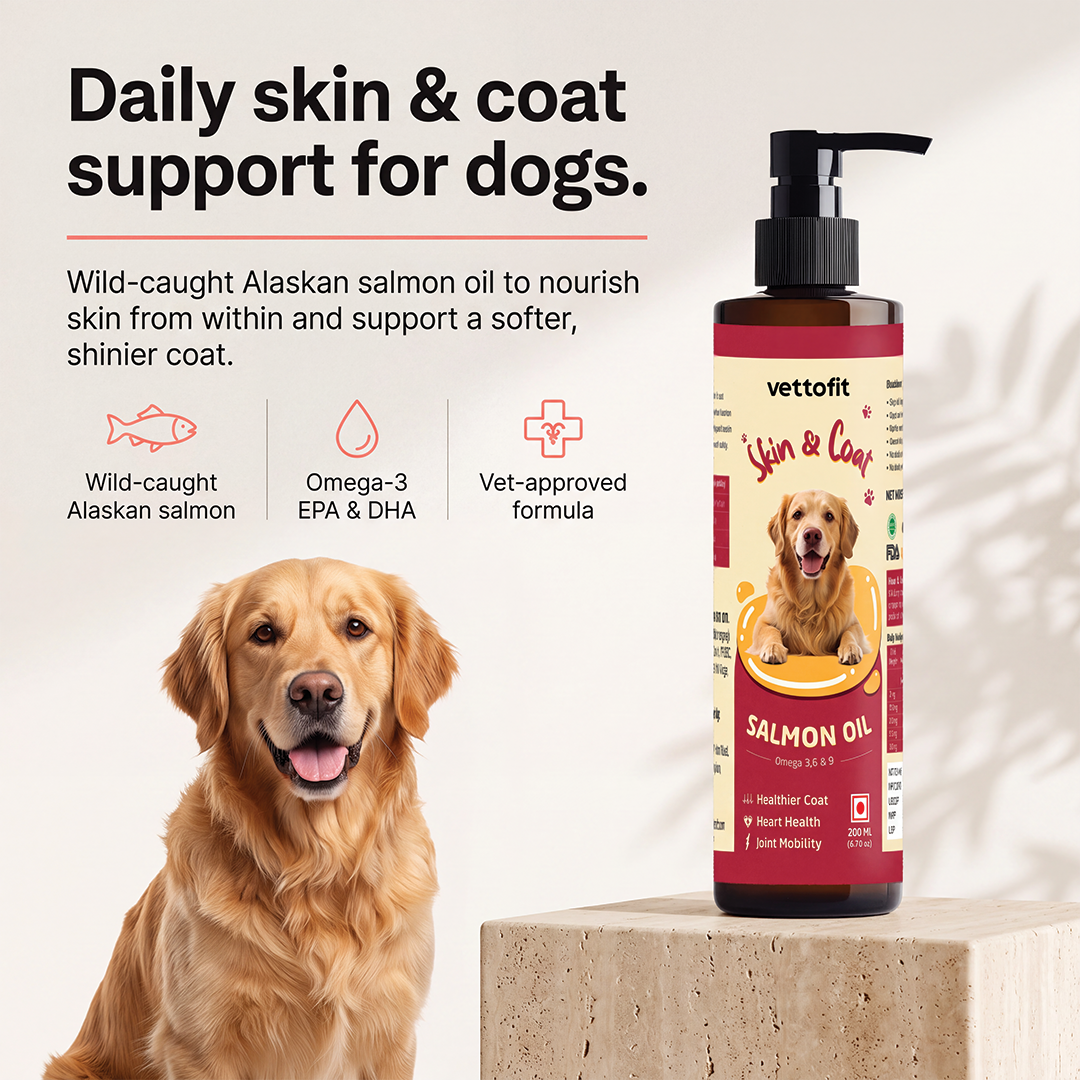 Vettofit Wild-Caught Alaskan Salmon Oil for Dogs | Skin & Coat - 200ml - VETTOFIT