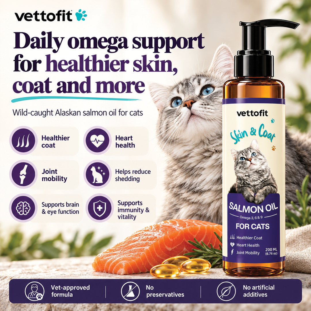 Vettofit Wild-Caught Alaskan Salmon Oil for Cats | Omega 3, 6 & 9 with EPA, DHA | Reduces Hair Fall & Shedding | Healthy Skin and Coat Supplement | Heart, Joint Support | 200 ml - VETTOFIT
