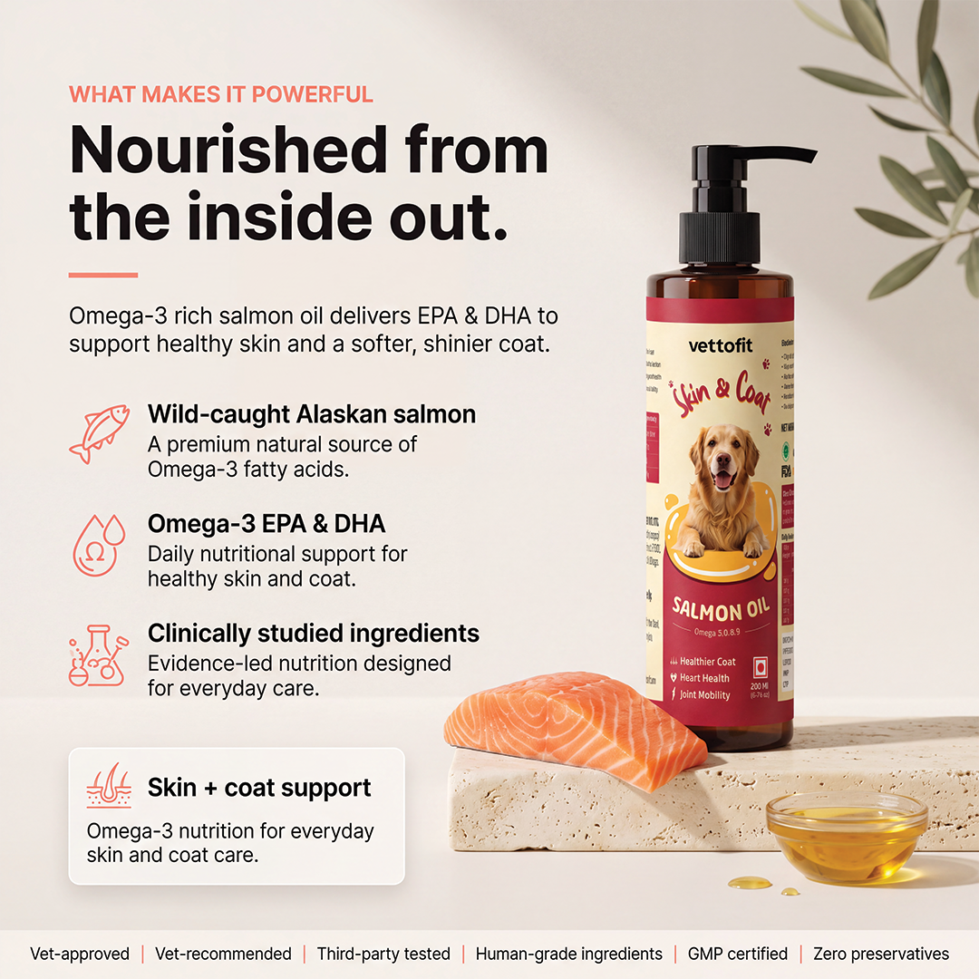 Vettofit Wild-Caught Alaskan Salmon Oil for Dogs | Skin & Coat - 200ml - VETTOFIT