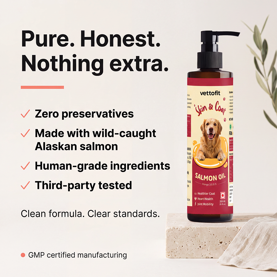 Vettofit Wild-Caught Alaskan Salmon Oil for Dogs | Skin & Coat - 200ml - VETTOFIT