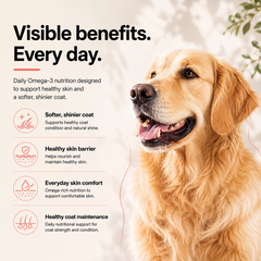 Vettofit Wild-Caught Alaskan Salmon Oil for Dogs | Skin & Coat - 200ml - VETTOFIT