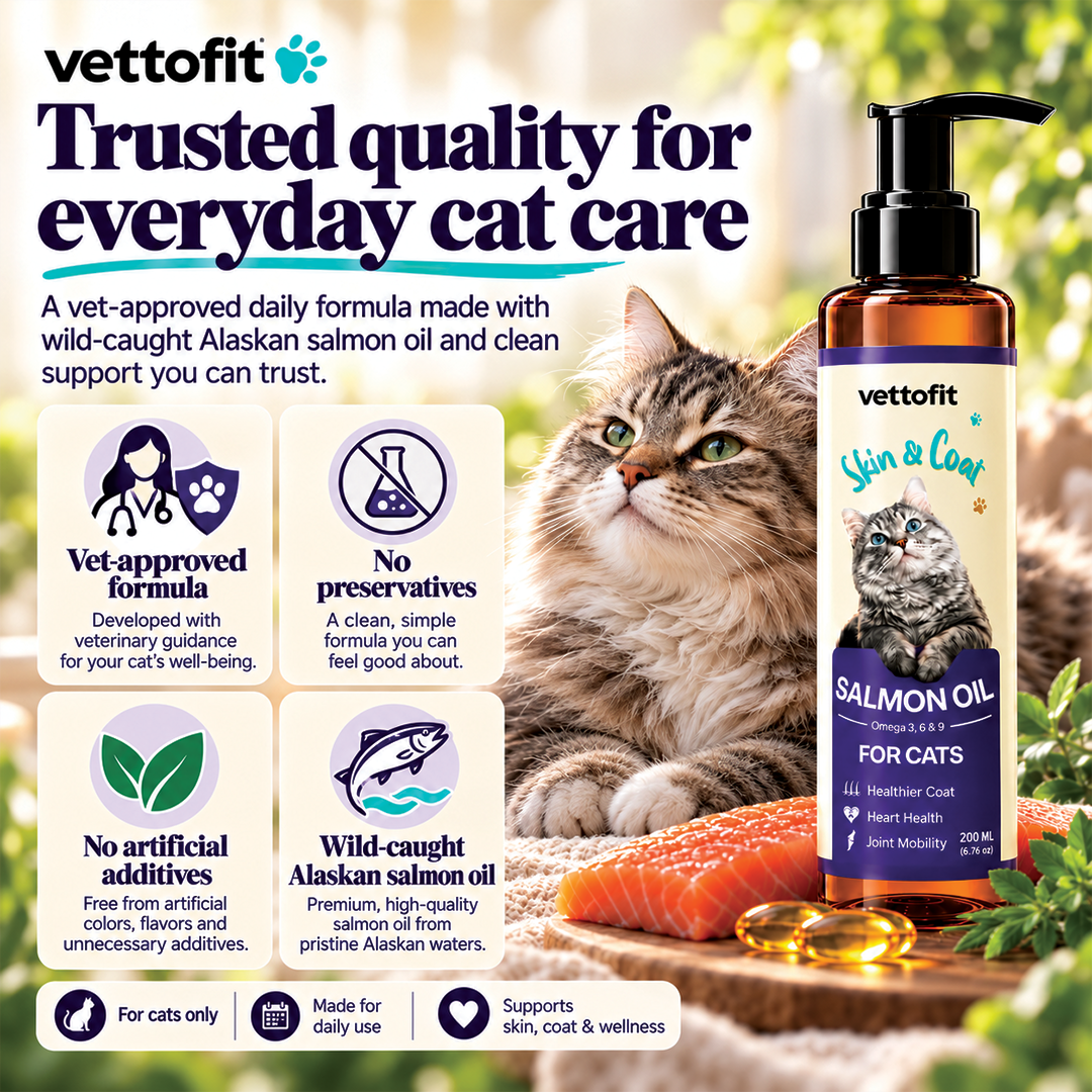 Vettofit Wild-Caught Alaskan Salmon Oil for Cats | Omega 3, 6 & 9 with EPA, DHA | Reduces Hair Fall & Shedding | Healthy Skin and Coat Supplement | Heart, Joint Support | 200 ml