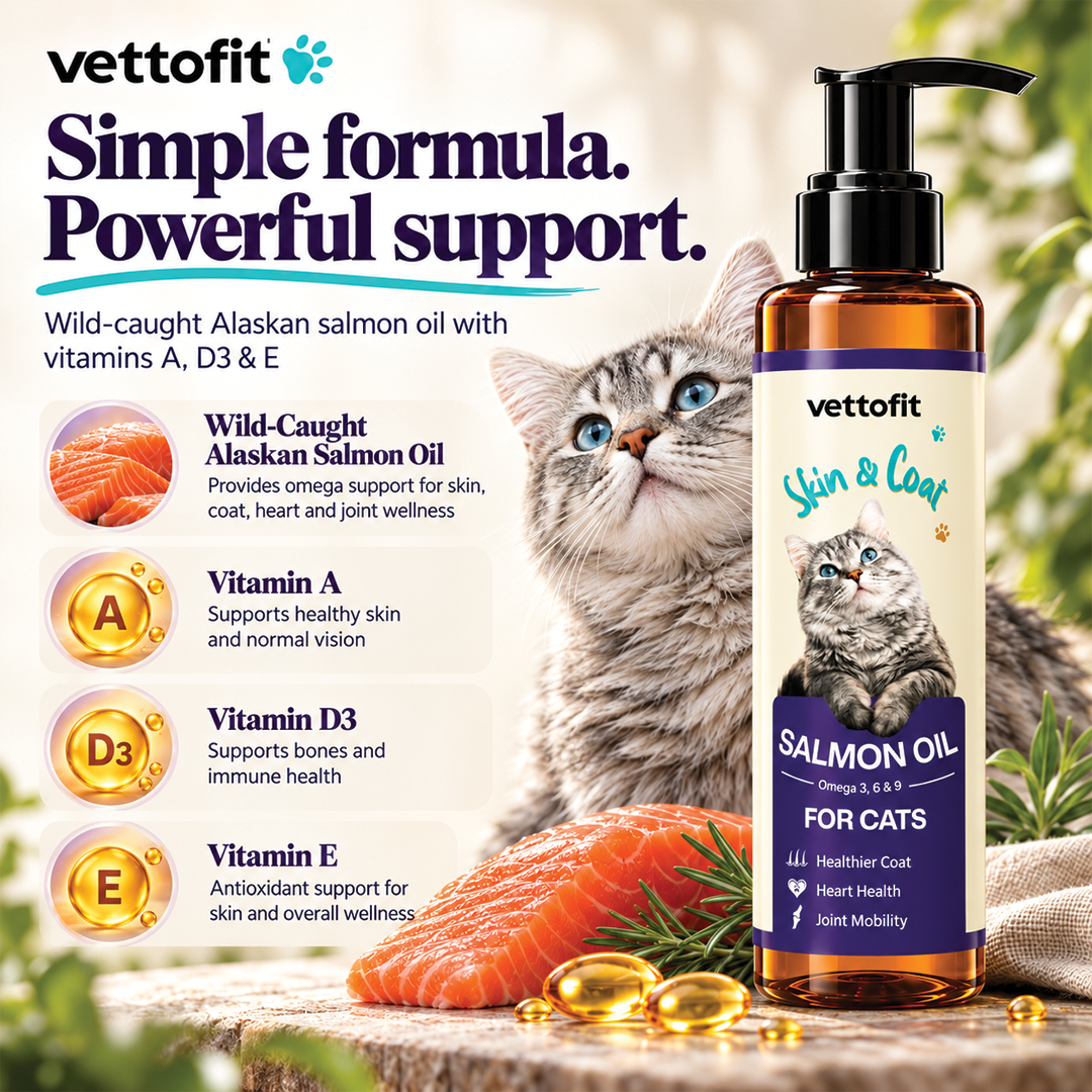 Vettofit Wild-Caught Alaskan Salmon Oil for Cats | Omega 3, 6 & 9 with EPA, DHA | Reduces Hair Fall & Shedding | Healthy Skin and Coat Supplement | Heart, Joint Support | 200 ml